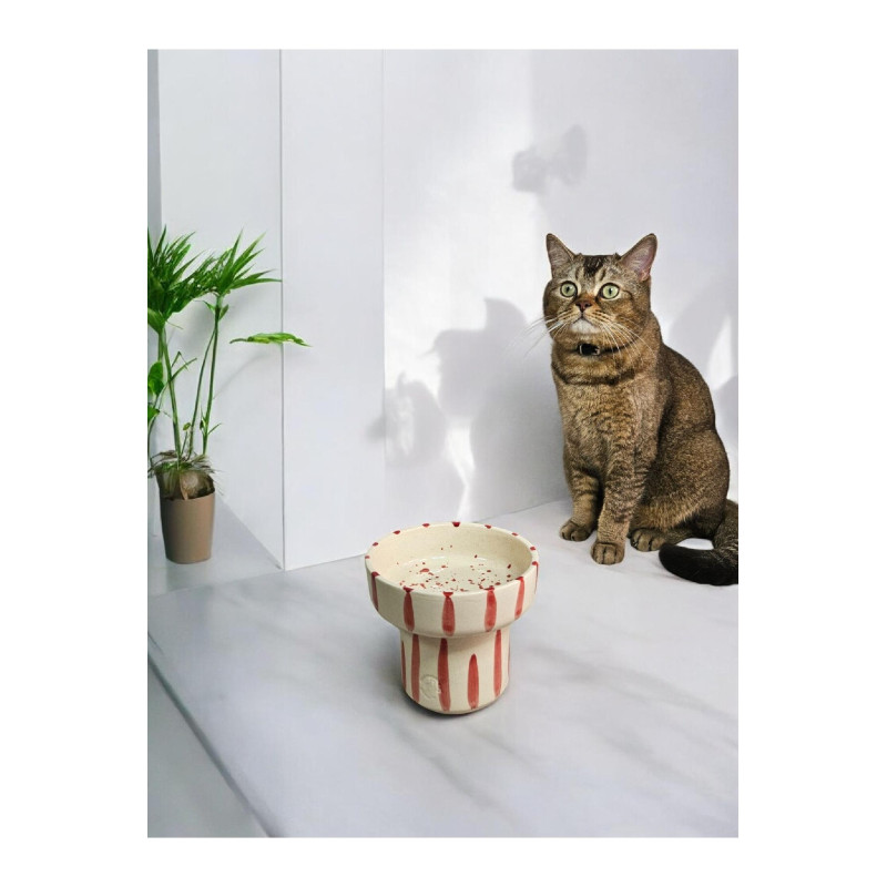 Kedi Ve Köpekler Için Yüksek Seramik Mama Ve Ya Su Kasesi Dökülmeyen Mama Kabı (EL YAPIMI SERAMİK)