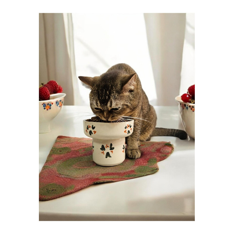 Kedi Ve Köpekler Için Yüksek Seramik Mama Veya Su Kasesi Dökülmeyen Mama Kabı Noel Baba Mama Kabı