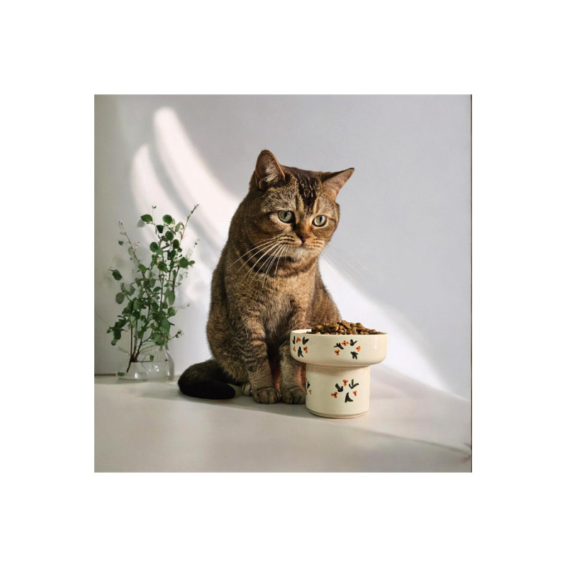 Kedi Ve Köpekler Için Yüksek Seramik Mama Veya Su Kasesi Dökülmeyen Mama Kabı Noel Baba Mama Kabı